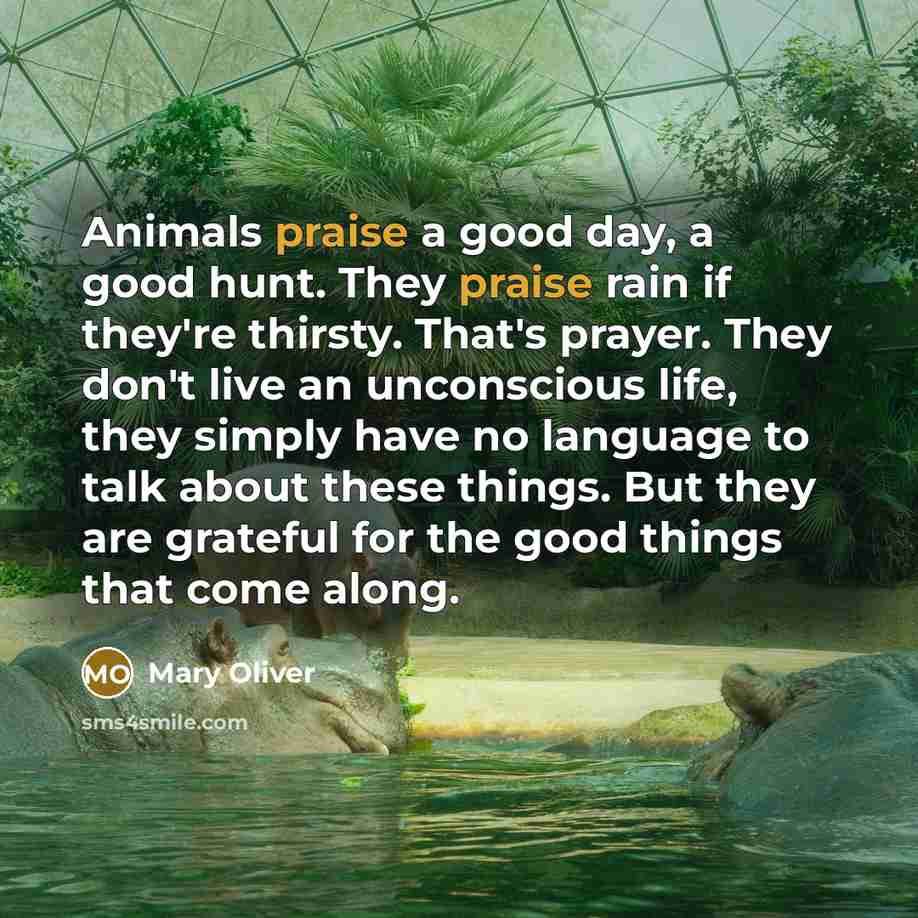 “Animals praise a good day, a good hunt. They praise…” quote by Mary Oliver