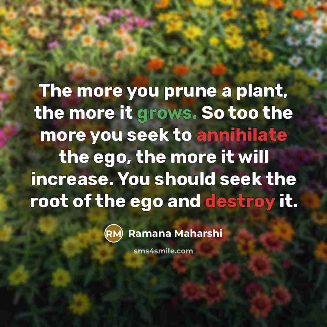 “The more you prune a plant, the more it grows.…” quote by Ramana Maharshi