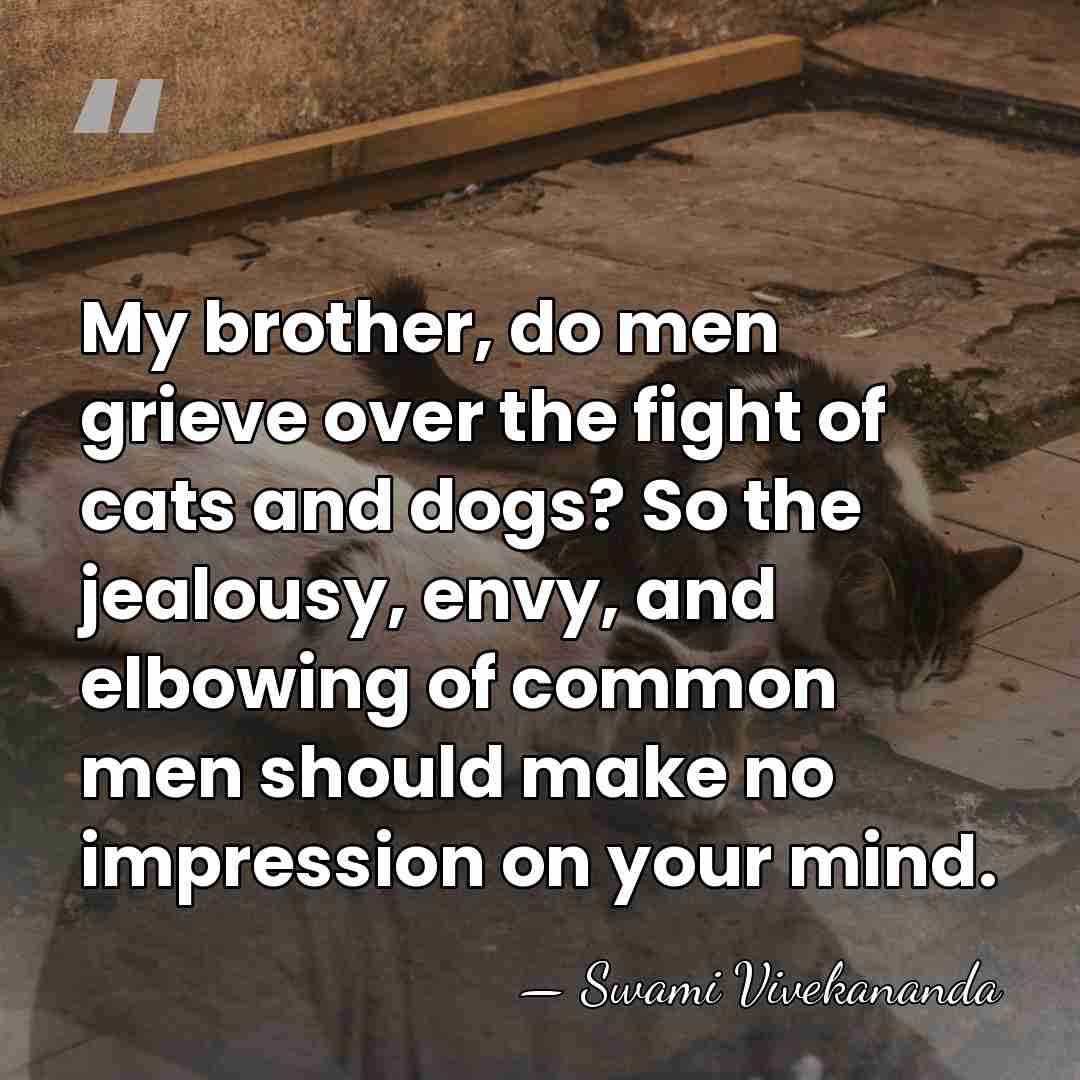 My brother, do men grieve over the fight of cats and dogs?&hellip; - Swami Vivekananda