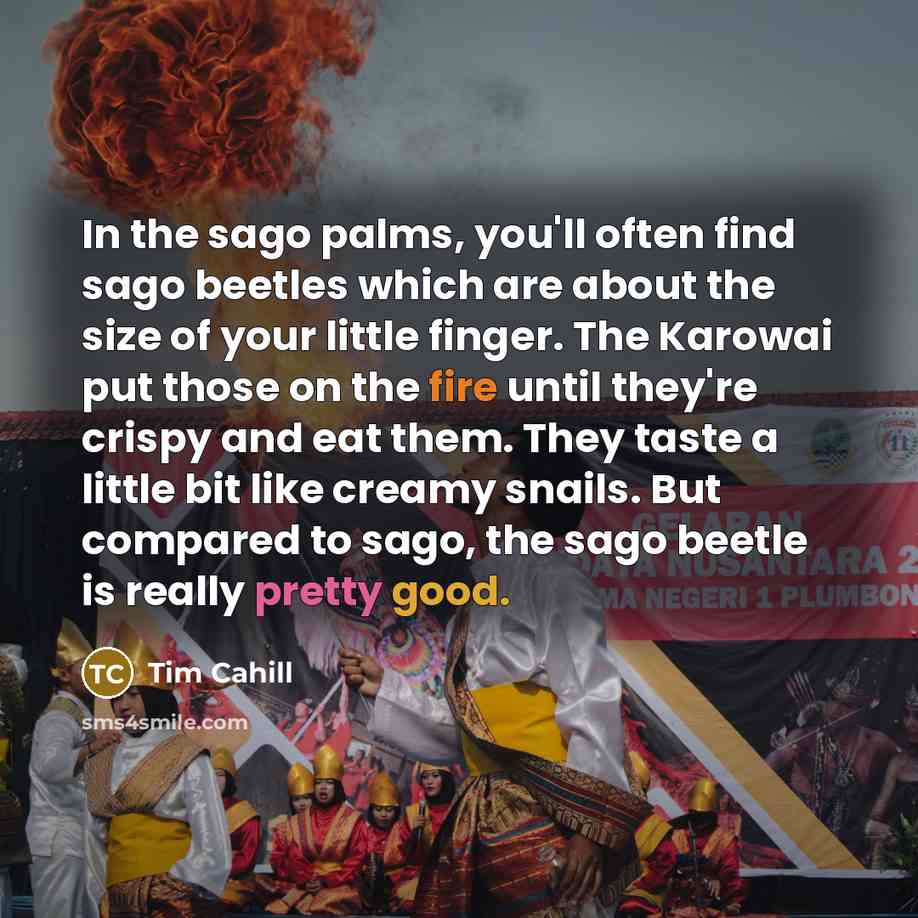 “In the sago palms, you'll often find sago beetles which…” quote by Tim Cahill