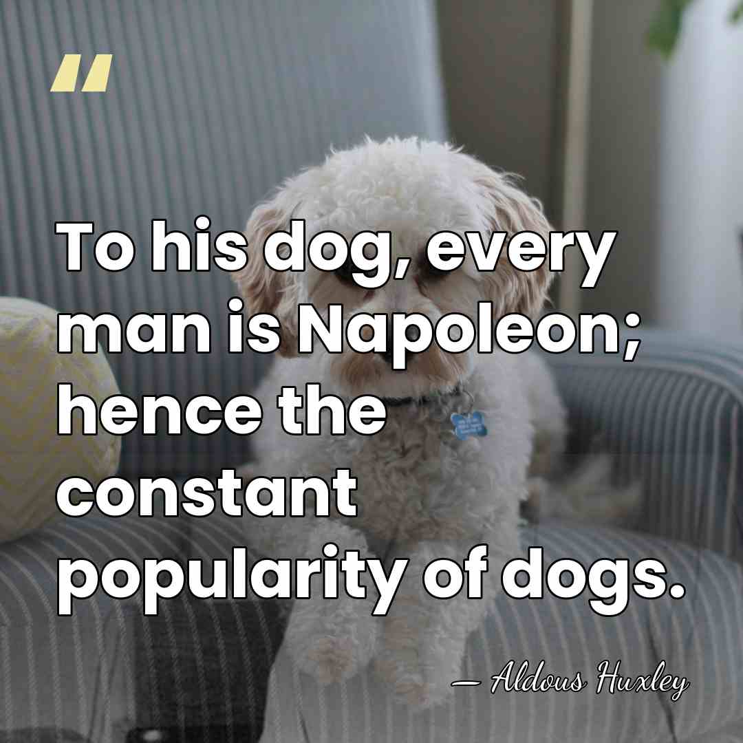 To his dog, every man is Napoleon; hence the constant popularity of&hellip; - Aldous Huxley