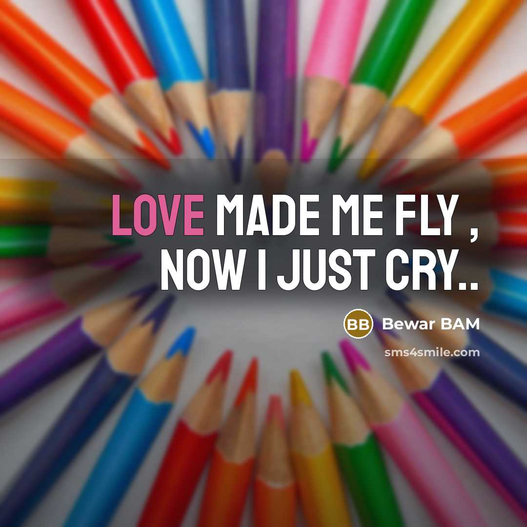 “Love Made Me Fly , Now I just Cry..…” quote by Bewar BAM