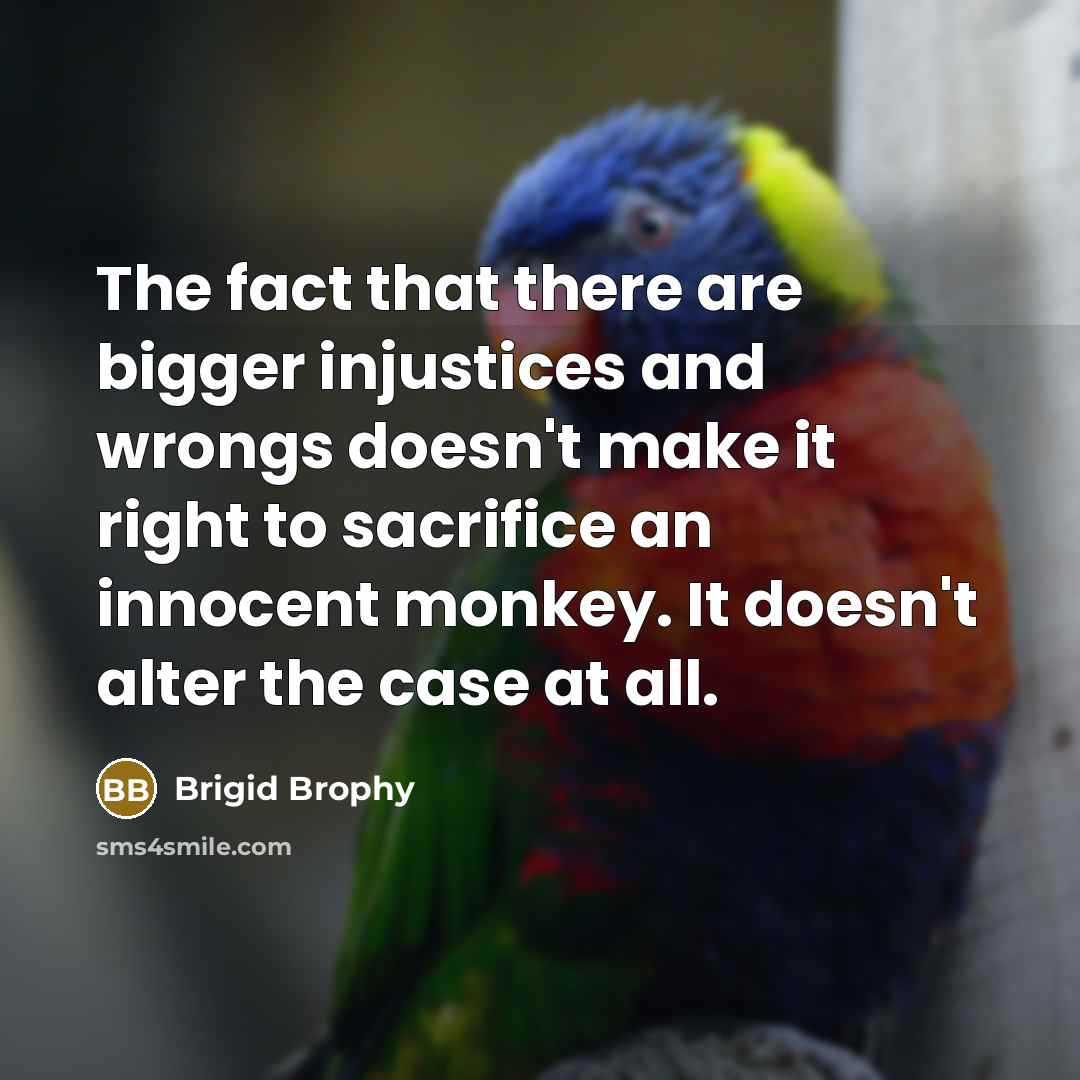 “The fact that there are bigger injustices and wrongs doesn't…” quote by Brigid Brophy