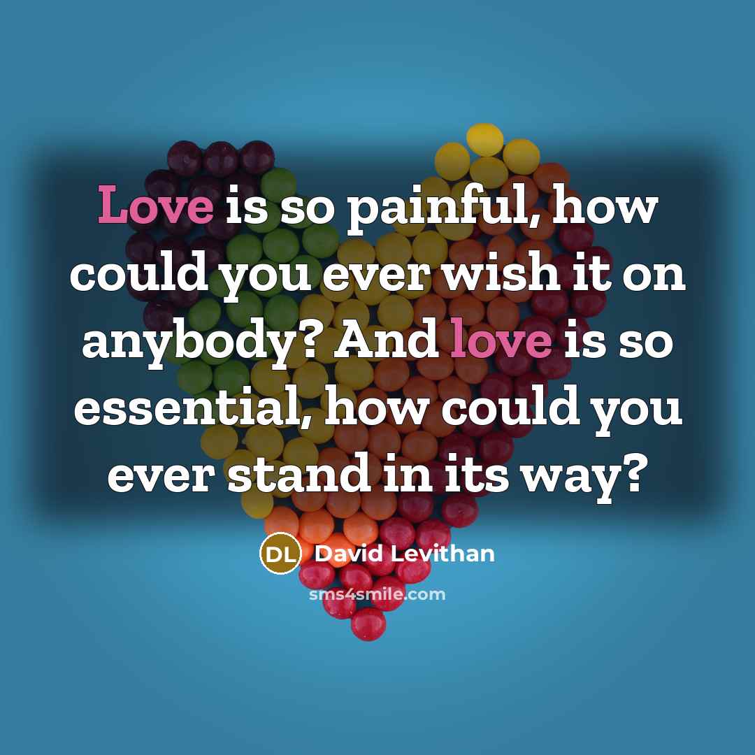 “Love is so painful, how could you ever wish it…” quote by David Levithan