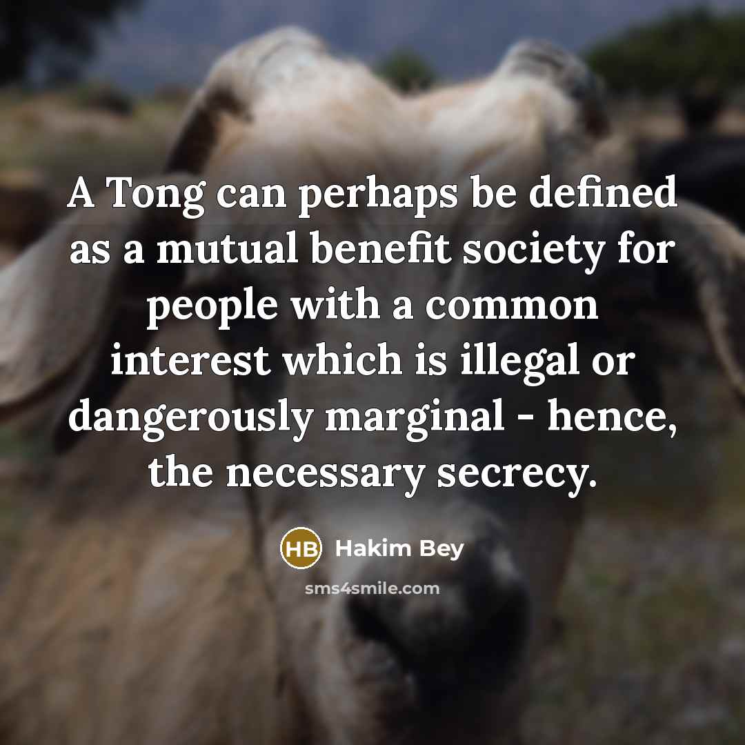 “A Tong can perhaps be defined as a mutual benefit…” quote by Hakim Bey