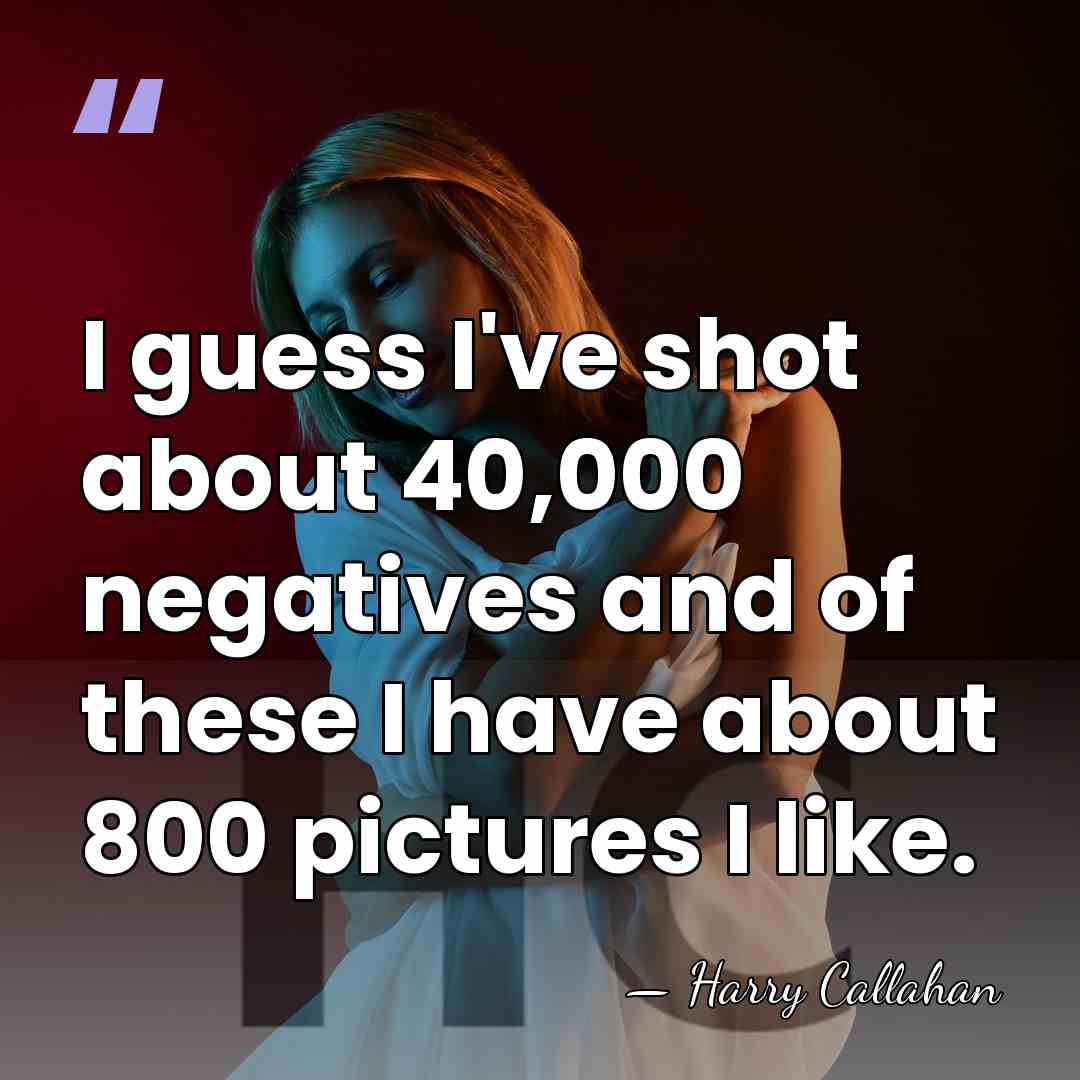 I guess I've shot about 40,000 negatives and of these I have&hellip; - Harry Callahan