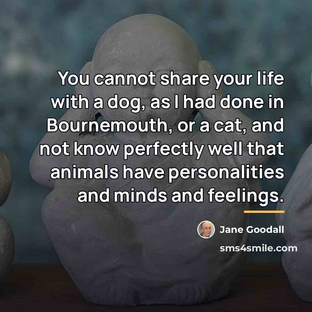 “You cannot share your life with a dog, as I…” quote by Jane Goodall