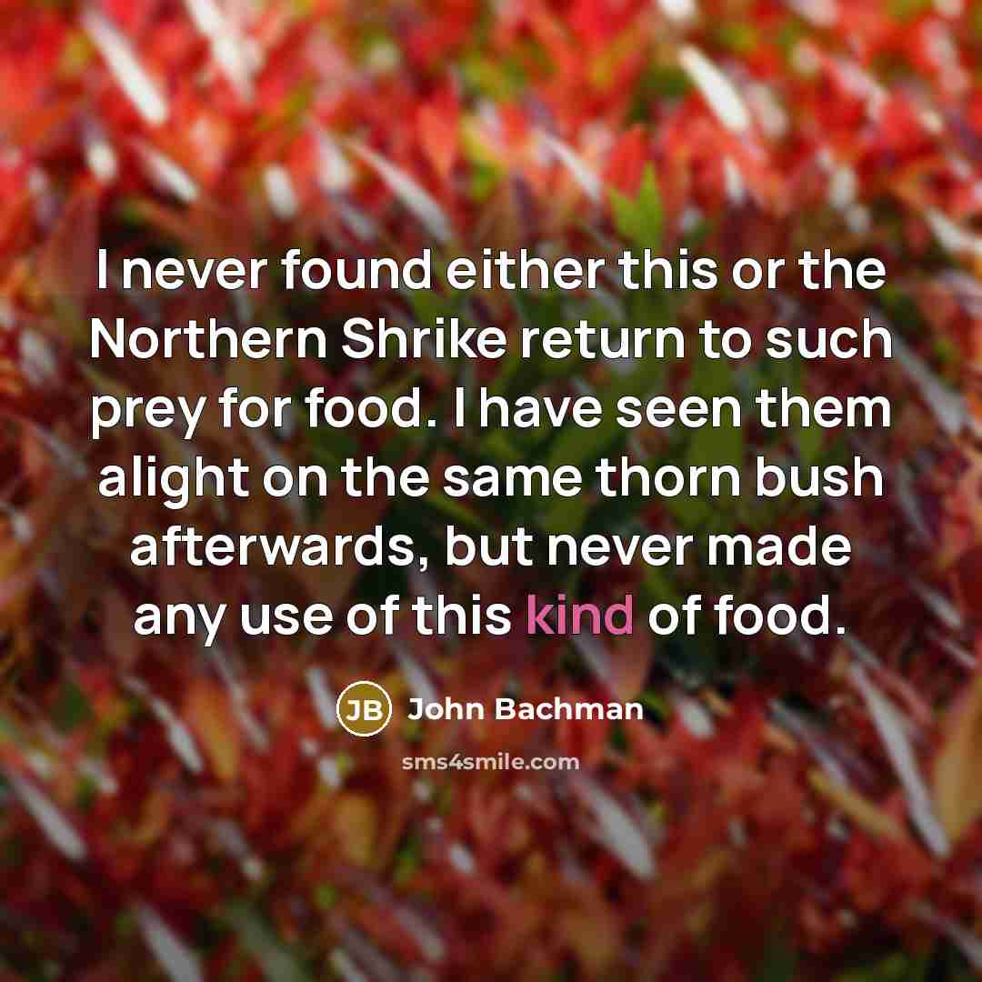 “I never found either this or the Northern Shrike return…” quote by John Bachman