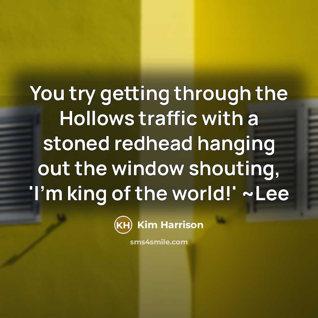 “You try getting through the Hollows traffic with a stoned…” quote by Kim Harrison
