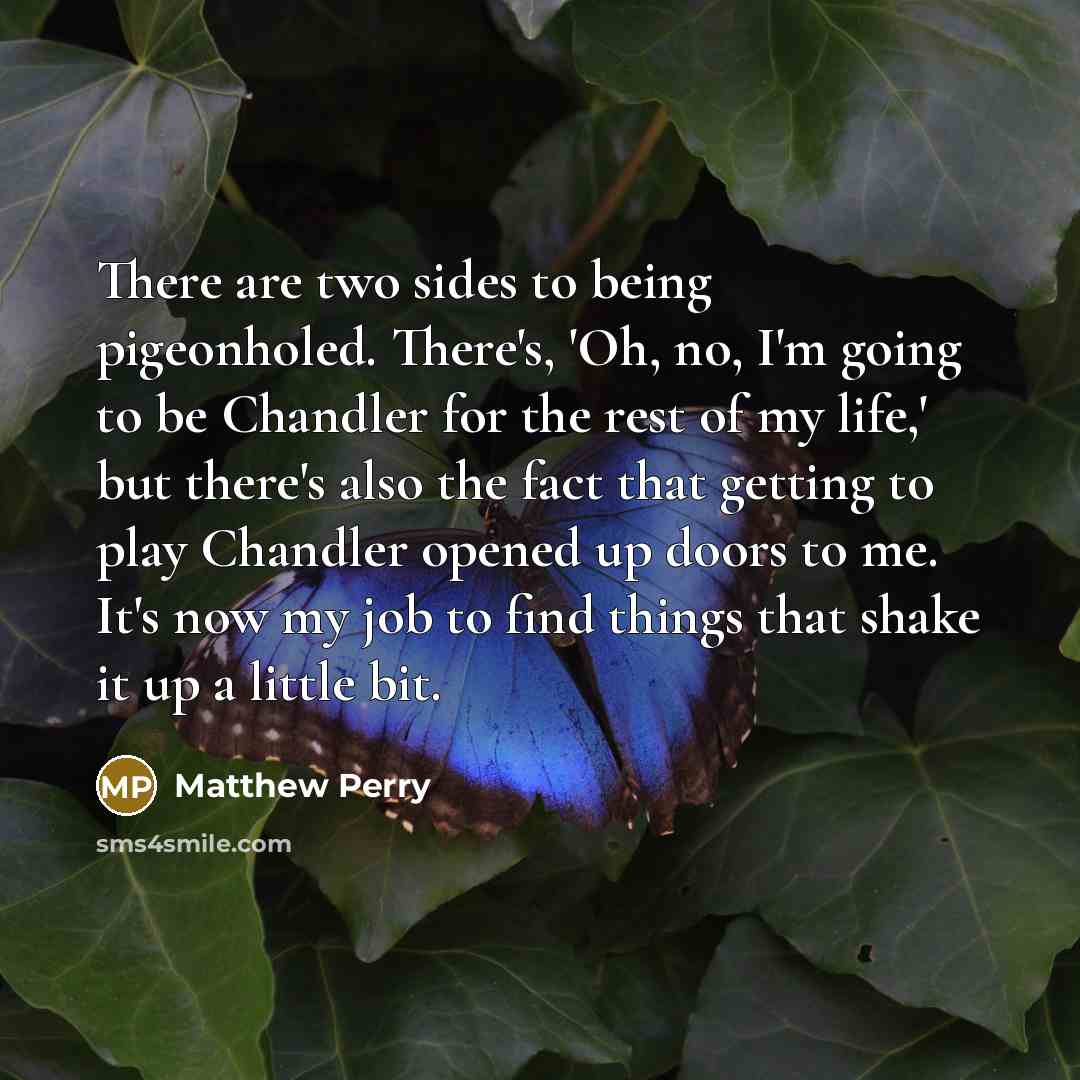 “There are two sides to being pigeonholed. There's, 'Oh, no,…” quote by Matthew Perry