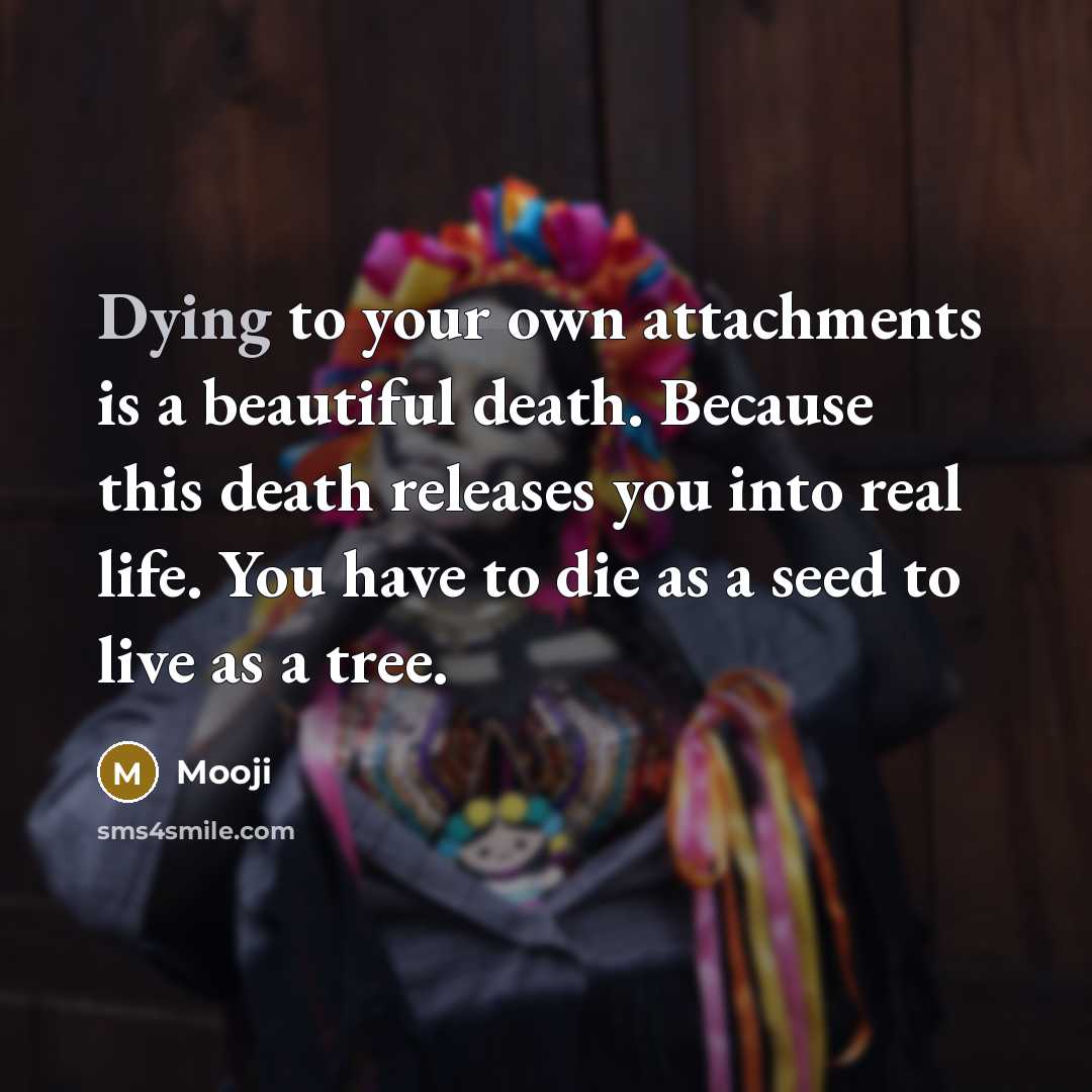 “Dying to your own attachments is a beautiful death. Because…” quote by Mooji