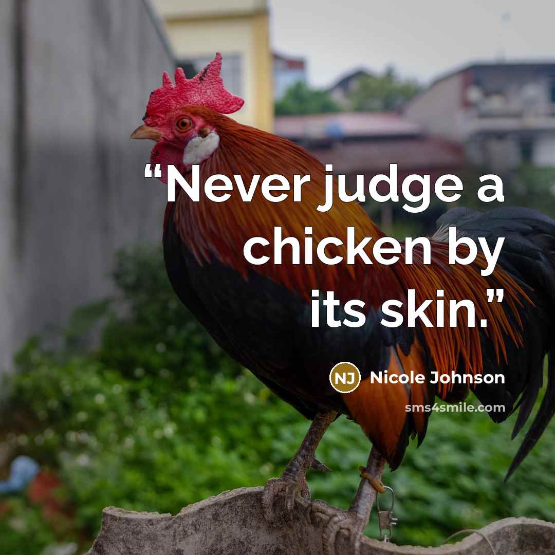 “Never judge a chicken by its skin.” quote by Nicole Johnson