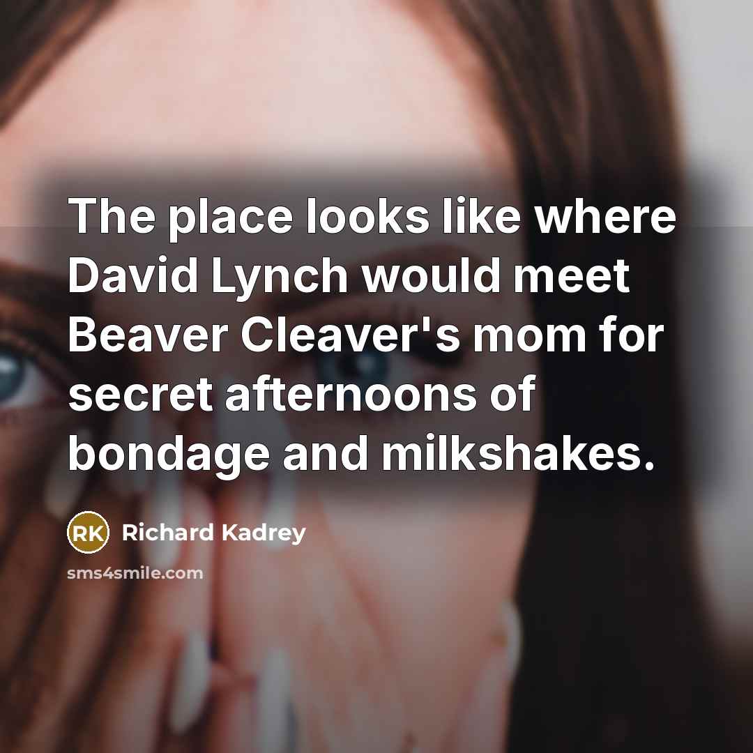“The place looks like where David Lynch would meet Beaver…” quote by Richard Kadrey