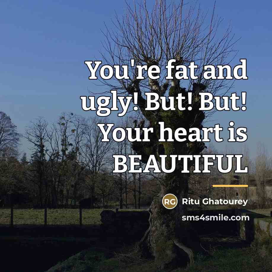“You're fat and ugly! But! But! Your heart is BEAUTIFUL…” quote by Ritu Ghatourey
