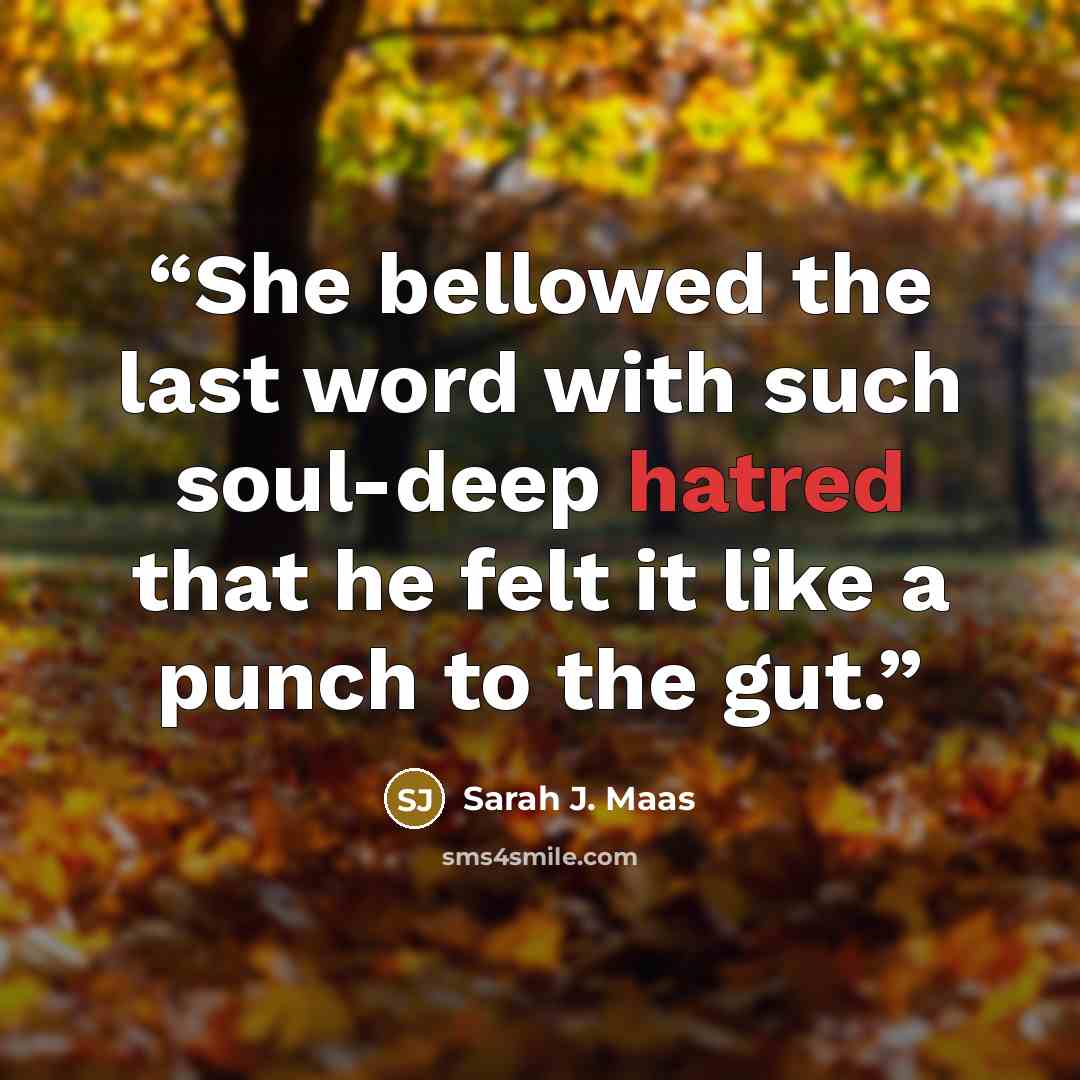 “She bellowed the last word with such soul-deep hatred that he felt it like a punch to the gut.” quote by Sarah J. Maas