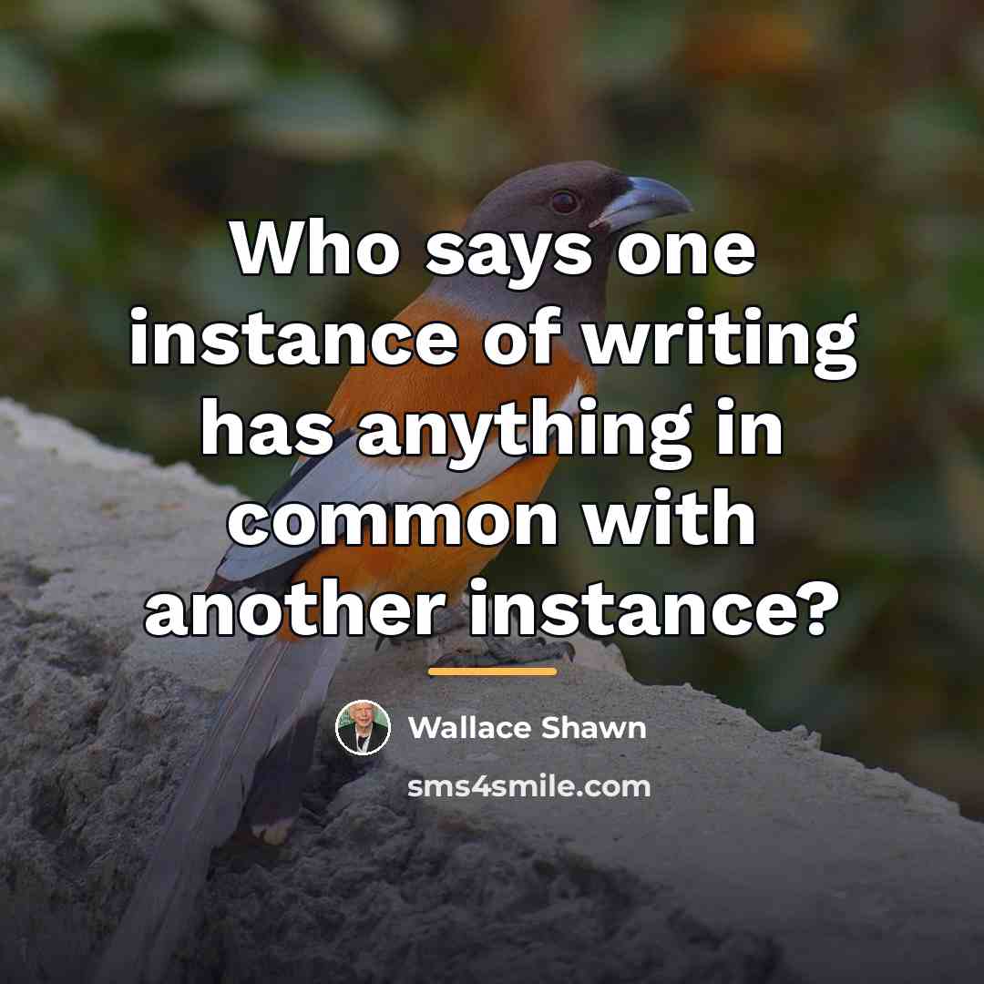 “Who says one instance of writing has anything in common…” quote by Wallace Shawn