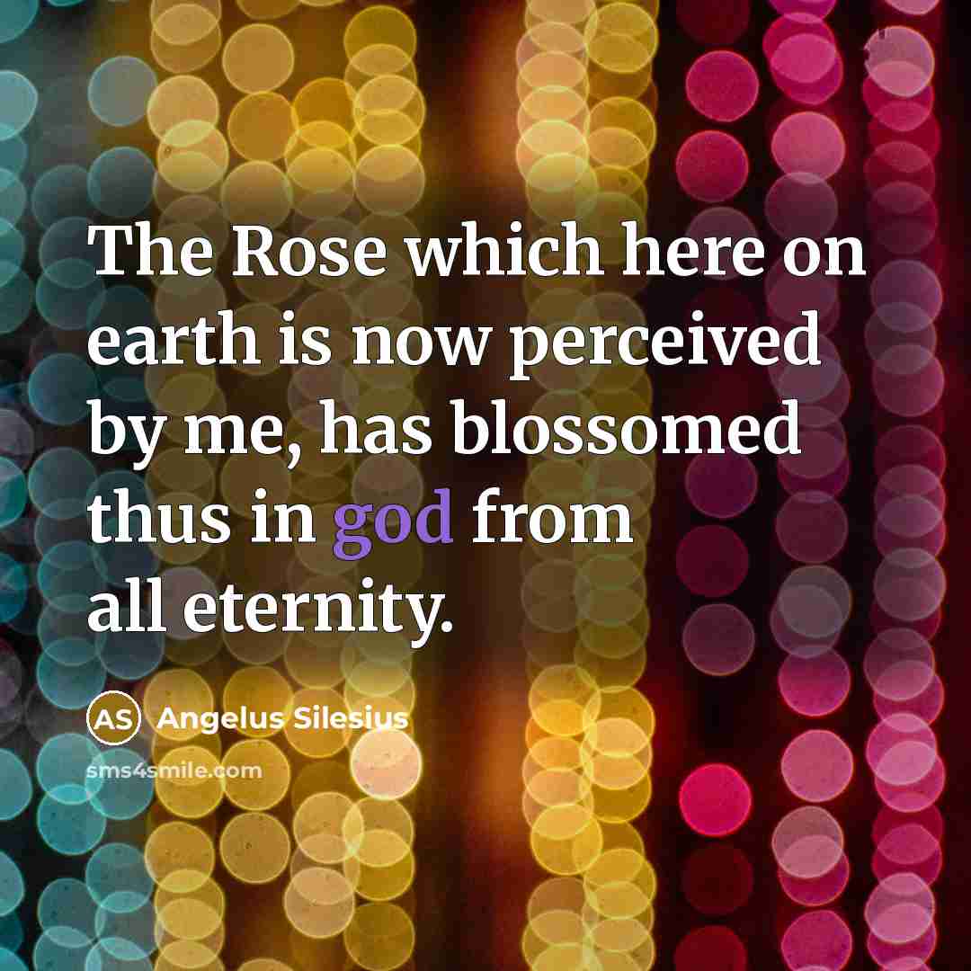 “The Rose which here on earth is now perceived by…” quote by Angelus Silesius