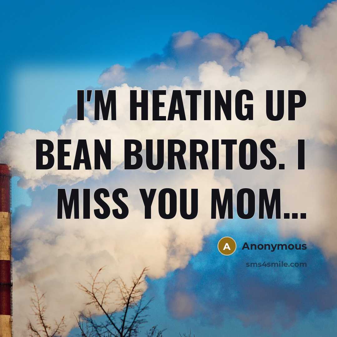 “I'm heating up bean burritos. I miss you mom....…” quote by Anonymous