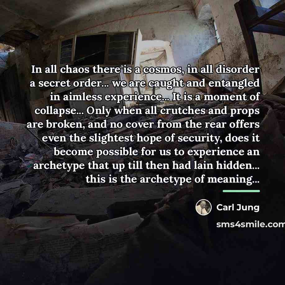 “In all chaos there is a cosmos, in all disorder…” quote by Carl Jung