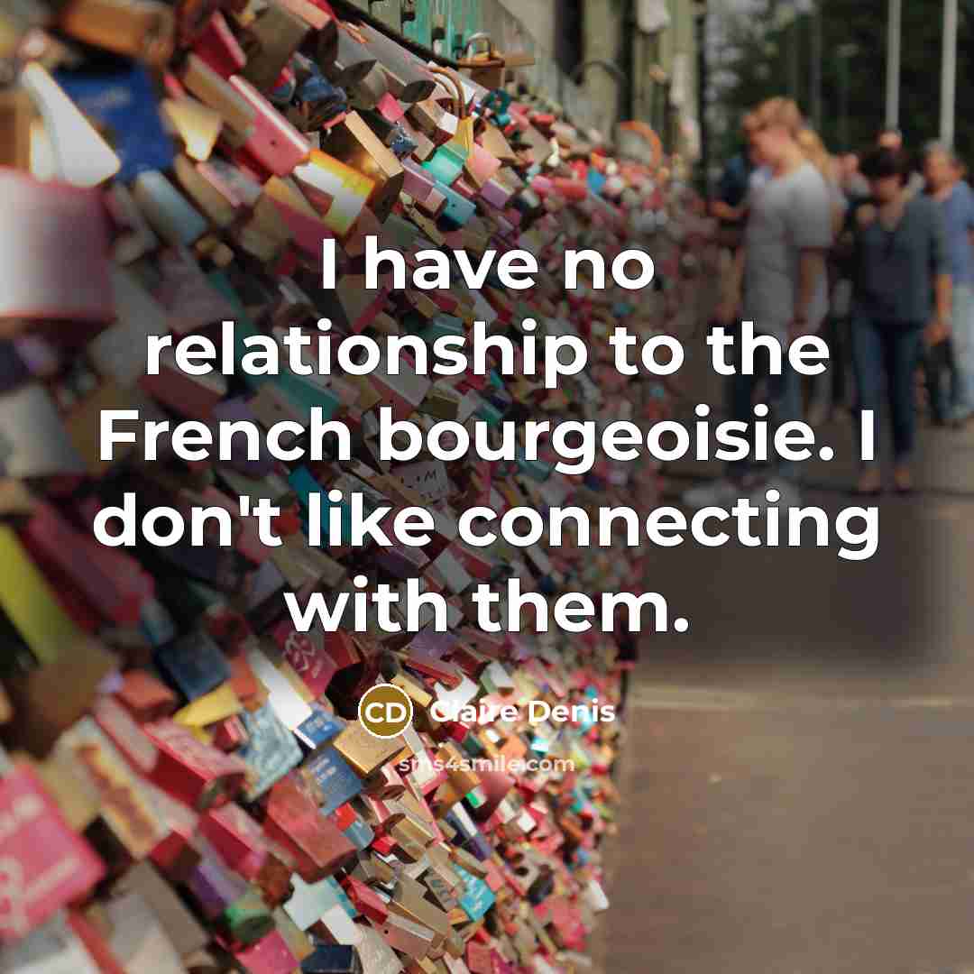“I have no relationship to the French bourgeoisie. I don't…” quote by Claire Denis
