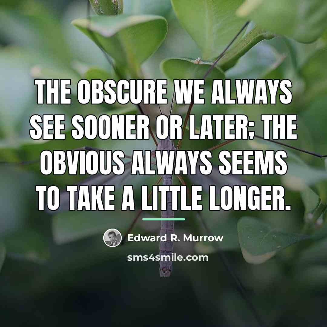 “The obscure we always see sooner or later; the obvious…” quote by Edward R. Murrow