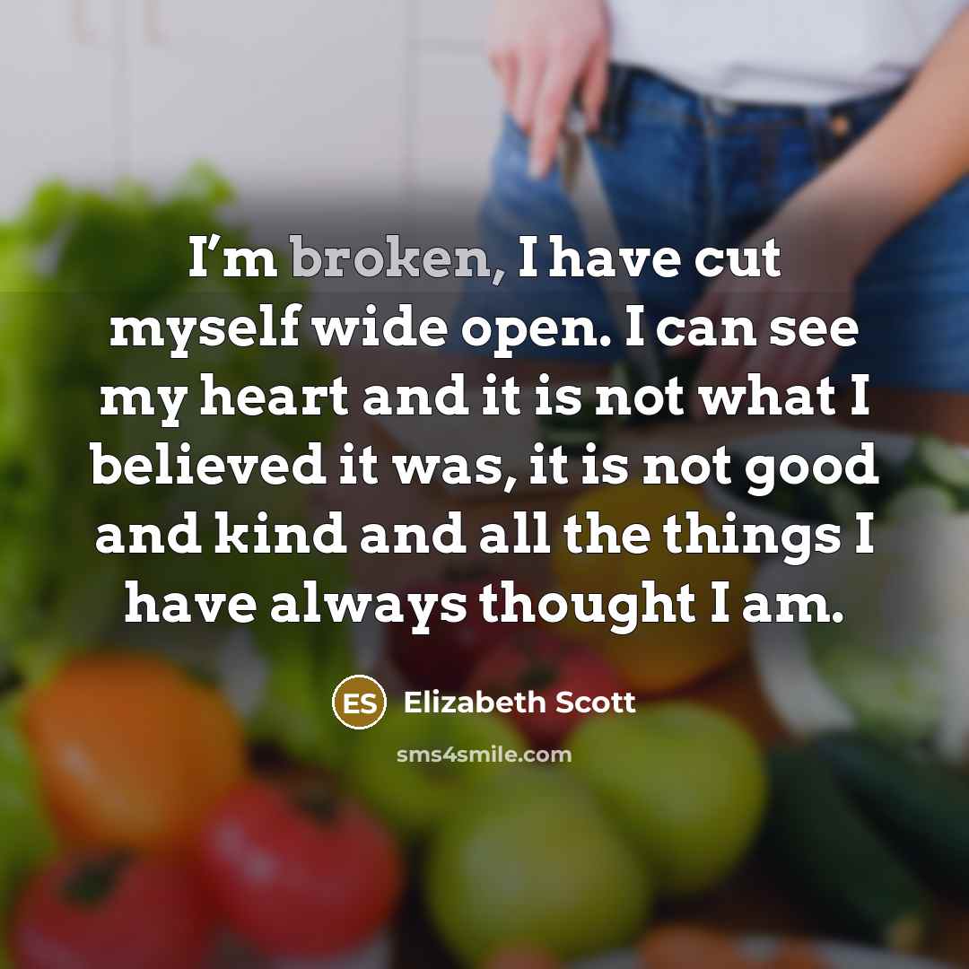 “I’m broken, I have cut myself wide open. I can…” quote by Elizabeth Scott