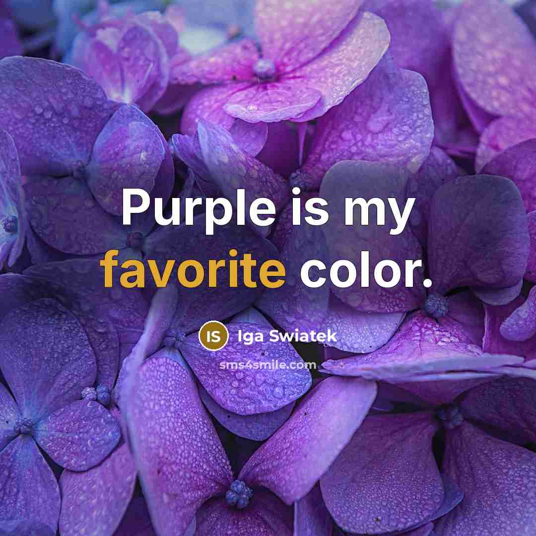 “Purple is my favorite color.…” quote by Iga Swiatek