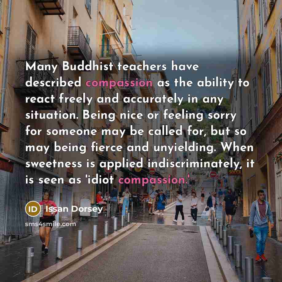 “Many Buddhist teachers have described compassion as the ability to…” quote by Issan Dorsey