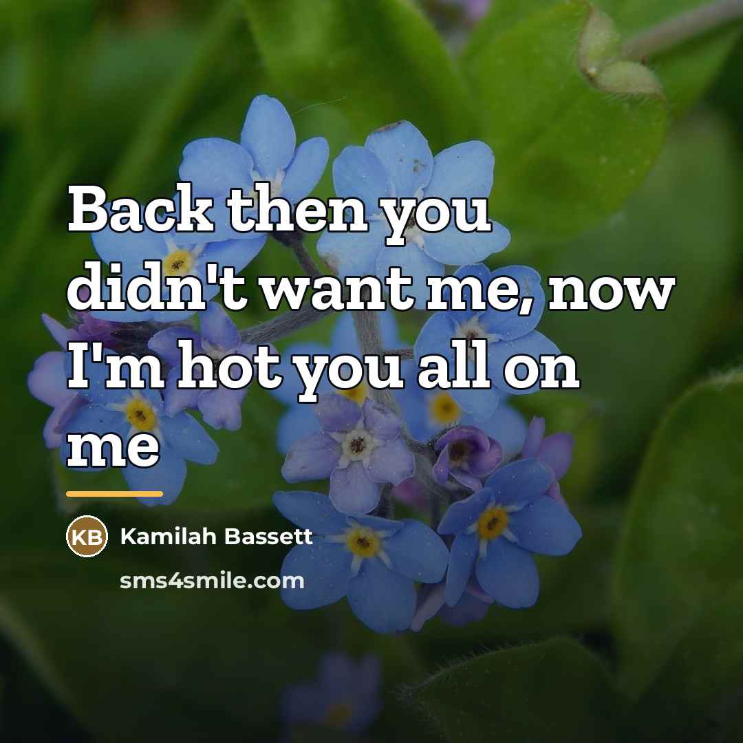 “Back then you didn't want me, now I'm hot you…” quote by Kamilah Bassett