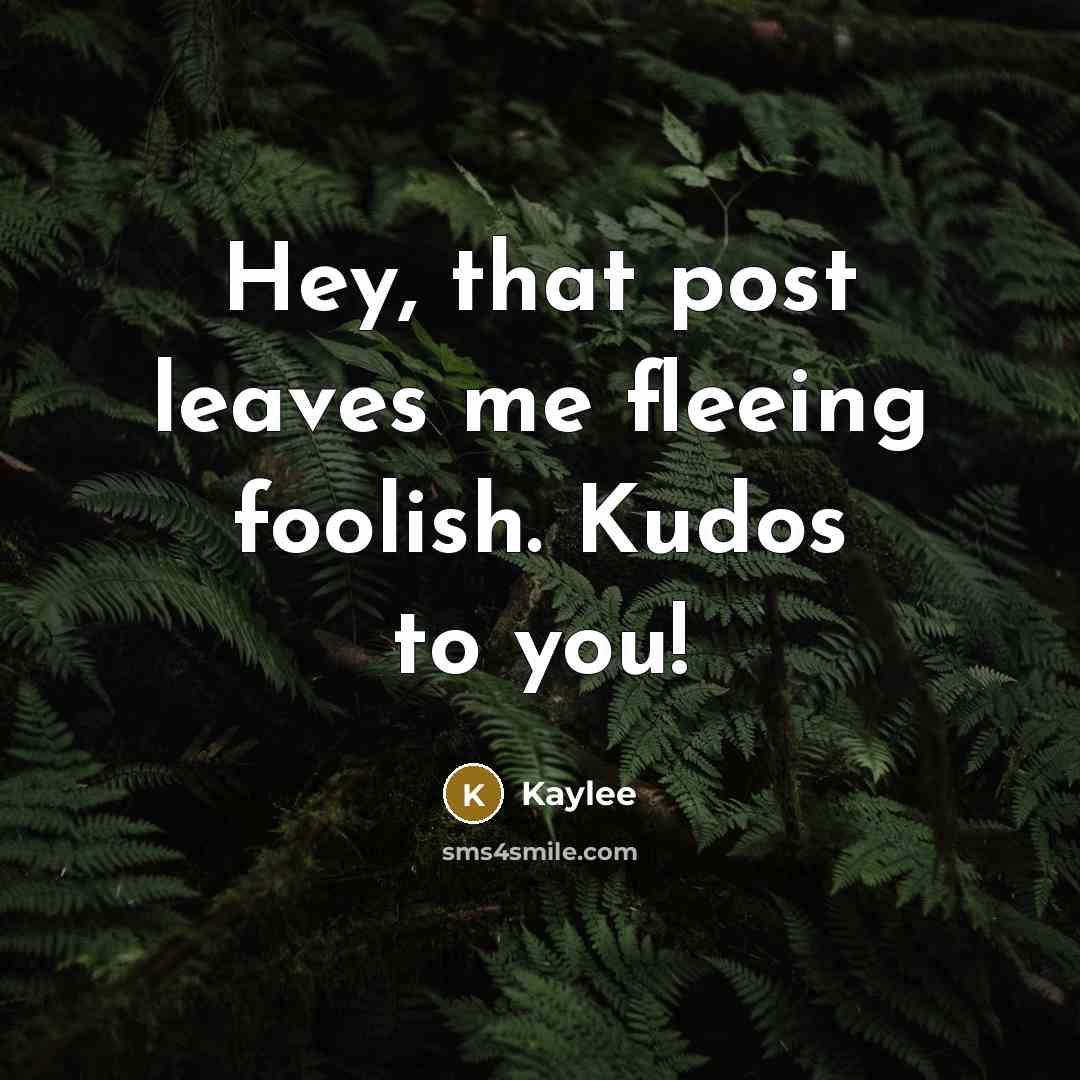“Hey, that post leaves me fleeing foolish. Kudos to you!…” quote by Kaylee