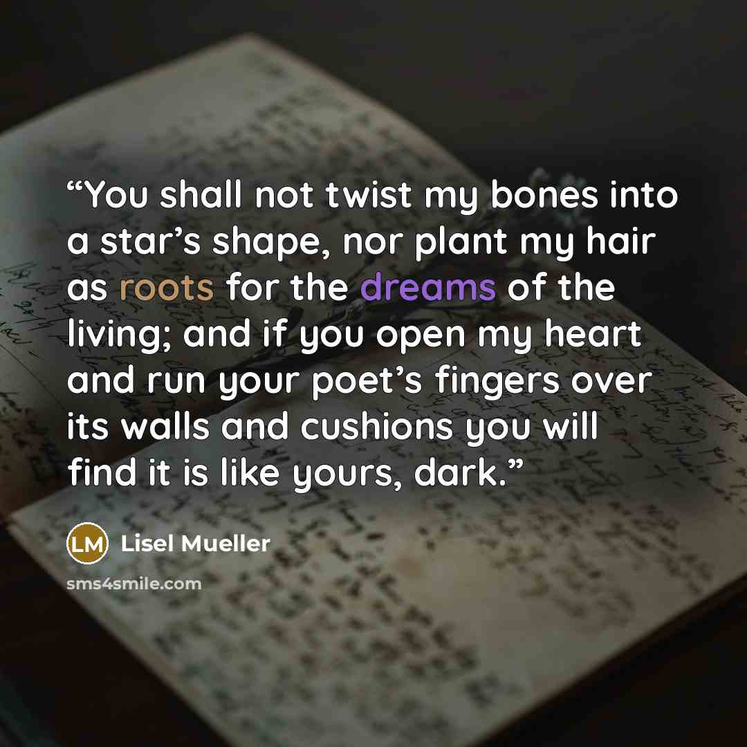 “You shall not twist my bones into a star’s shape, nor plant my hair as roots for the dreams of the living; and if you open my heart and run your poet’s fingers over its walls and cushions you will find it is like yours, dark.” quote by Lisel Mueller