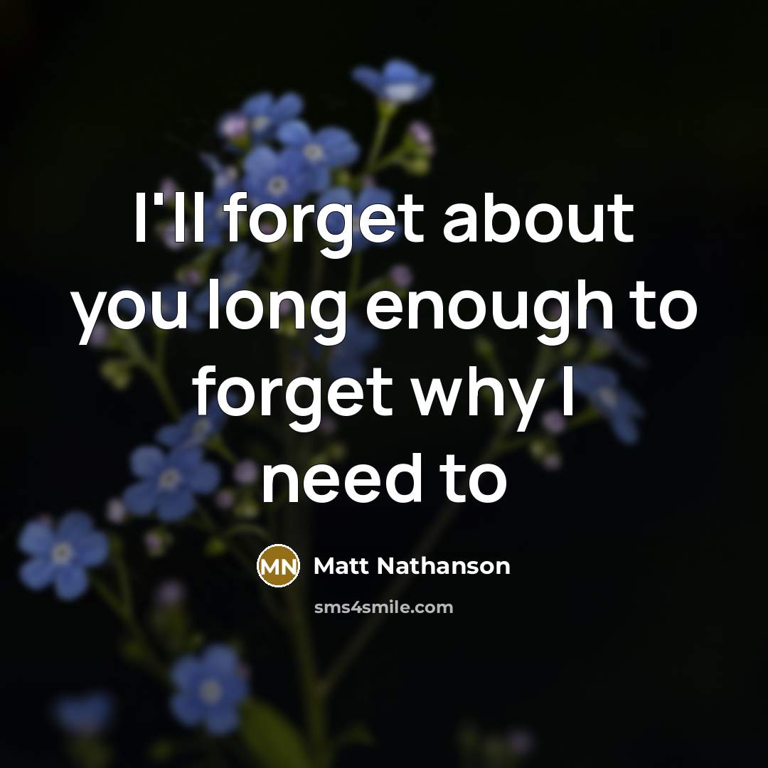 “I'll forget about you long enough to forget why I…” quote by Matt Nathanson