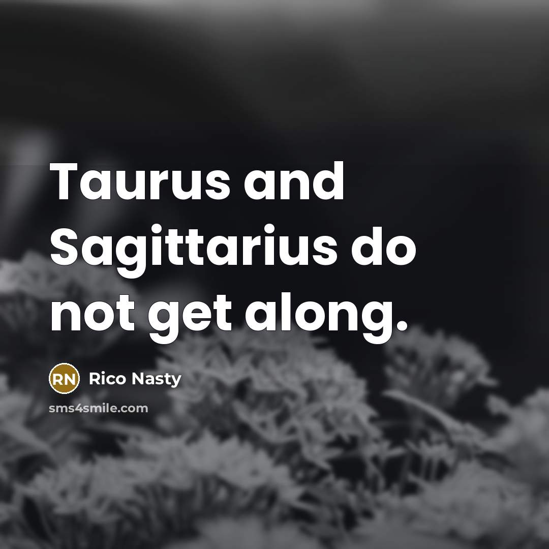 “Taurus and Sagittarius do not get along.…” quote by Rico Nasty