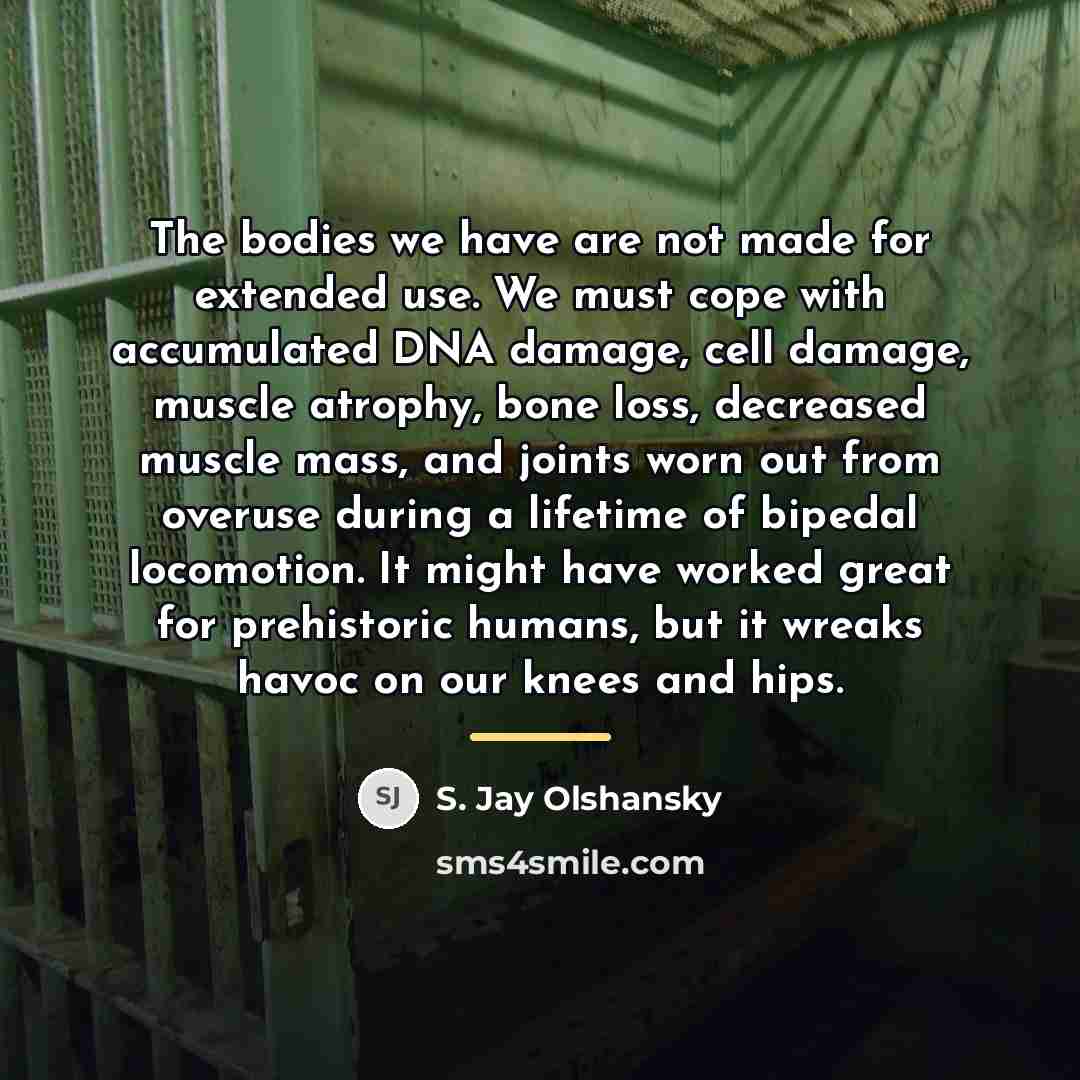 “The bodies we have are not made for extended use.…” quote by S. Jay Olshansky