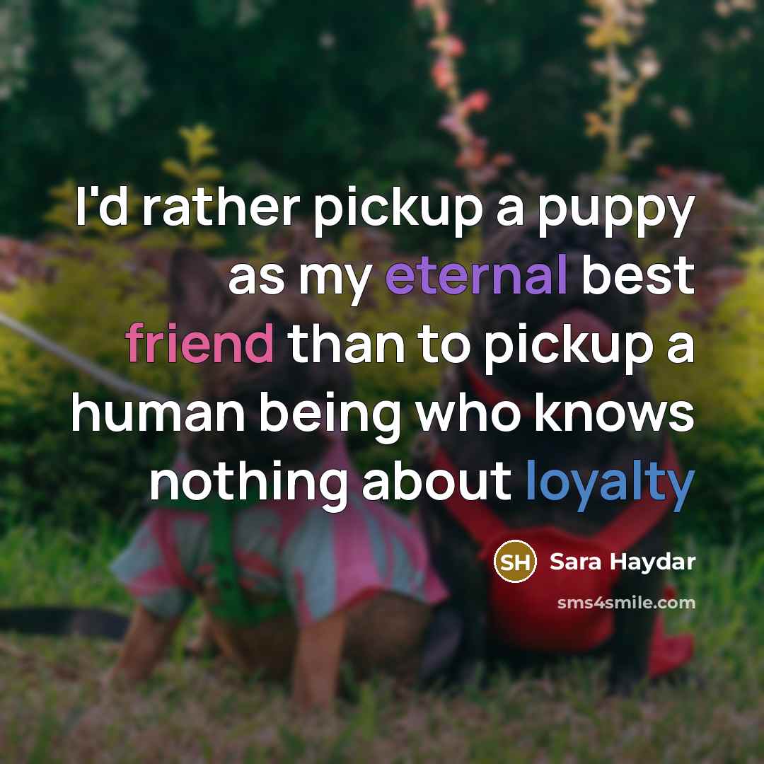 “I'd rather pickup a puppy as my eternal best friend…” quote by Sara Haydar