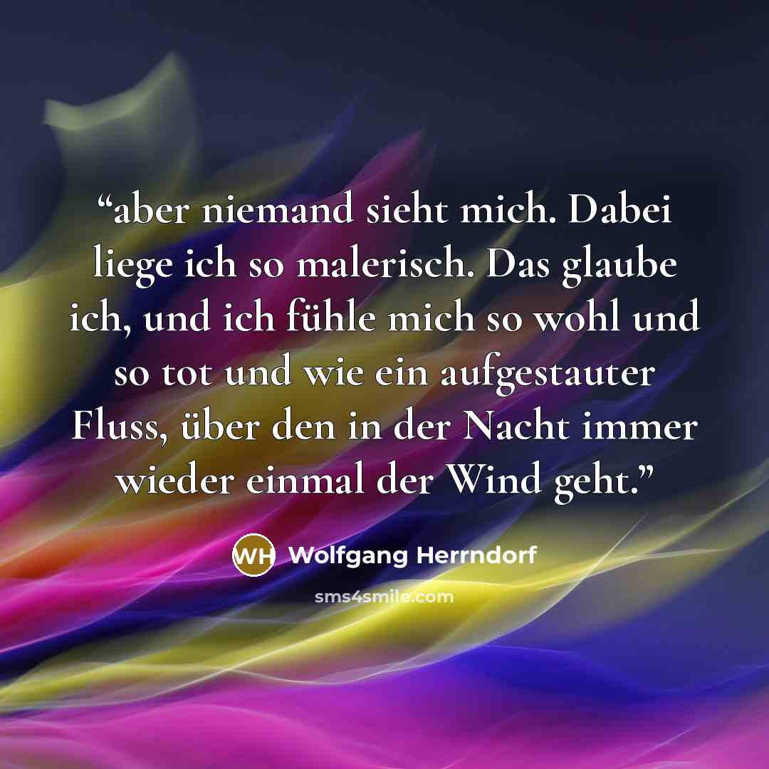“aber niemand sieht mich. Dabei liege ich so malerisch. Das glaube ich, und ich fühle mich so wohl und so tot und wie ein aufgestauter Fluss, über den in der Nacht immer wieder einmal der Wind geht.” quote by Wolfgang Herrndorf