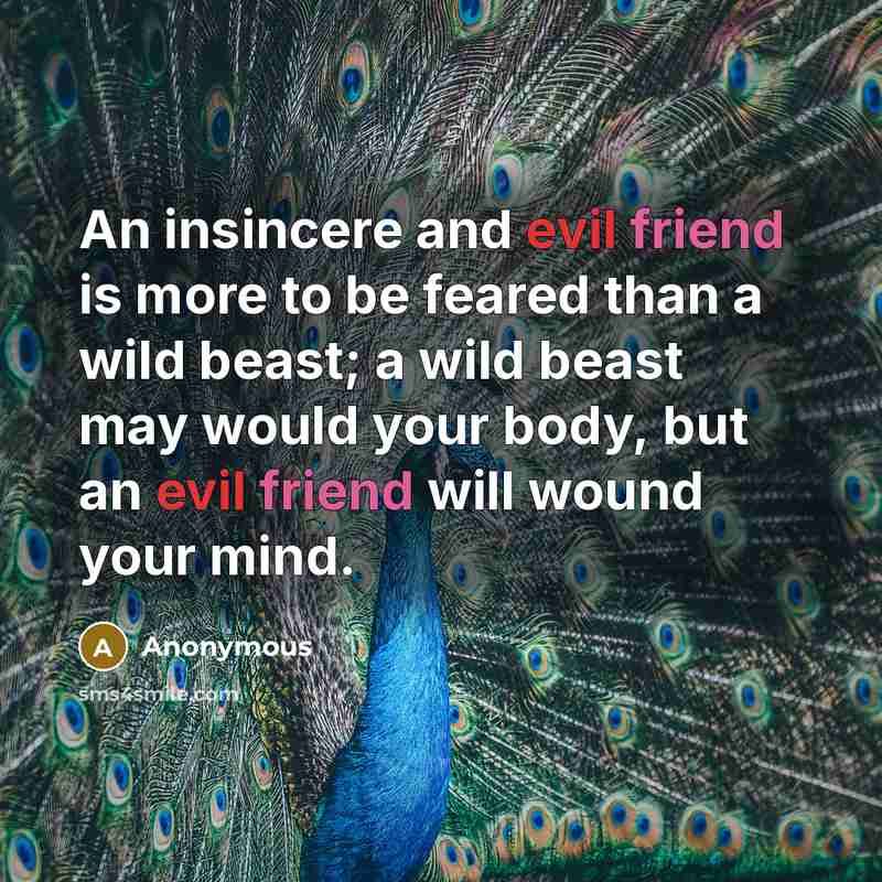 “An insincere and evil friend is more to be feared…” quote by Anonymous