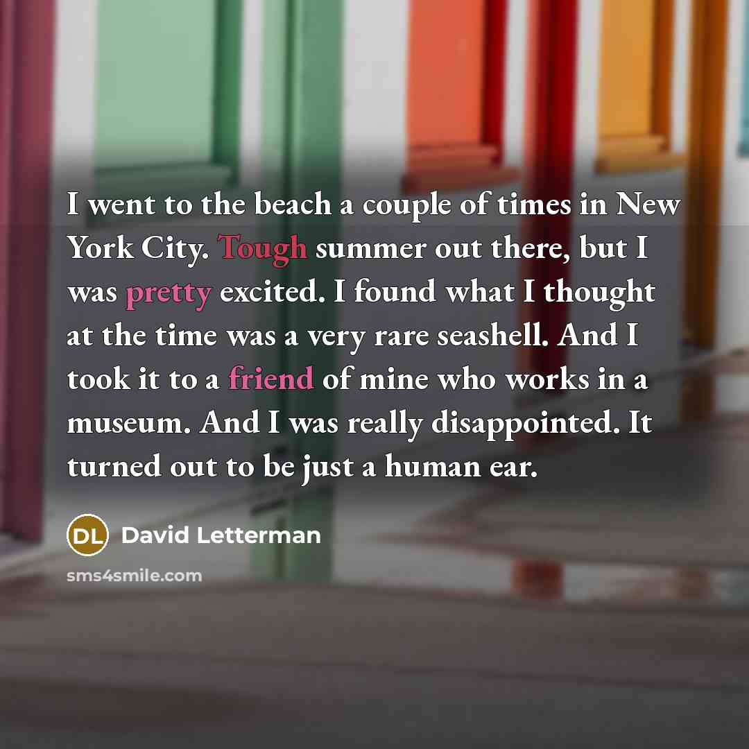 “I went to the beach a couple of times in…” quote by David Letterman
