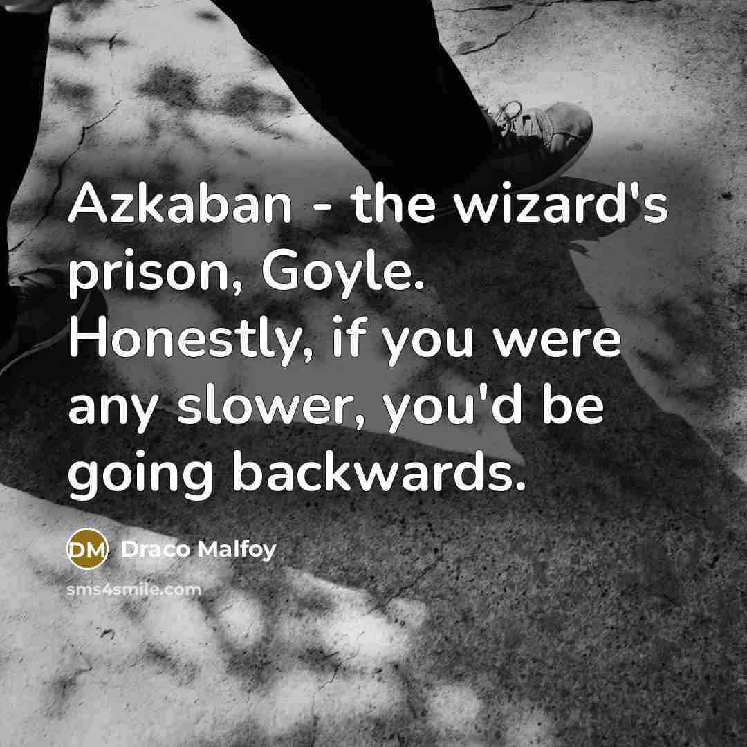 “Azkaban - the wizard's prison, Goyle. Honestly, if you were…” quote by Draco Malfoy
