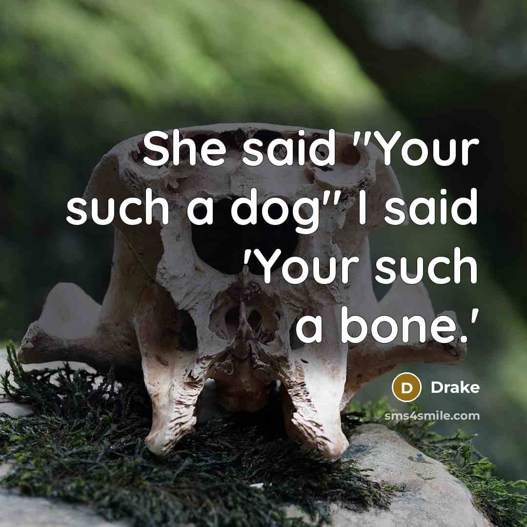 “She said "Your such a dog" I said 'Your such a bone.'” quote by Drake