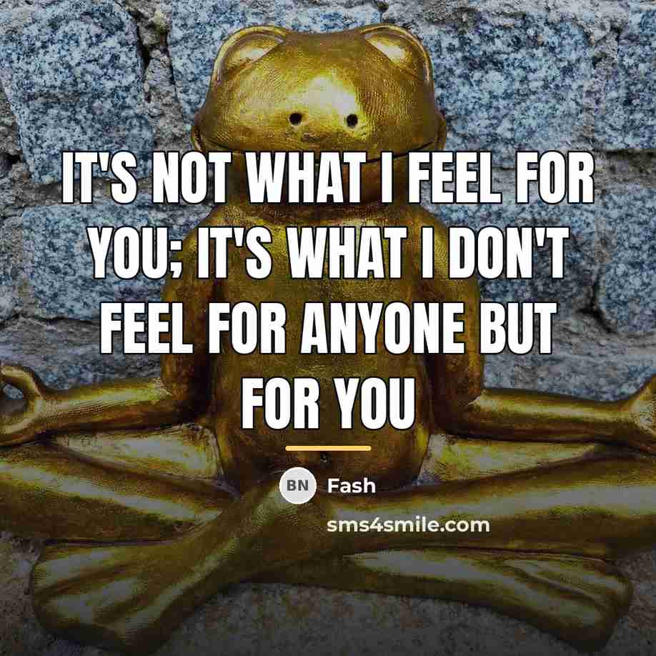 “It's not what I feel for you; It's what I…” quote by Fash