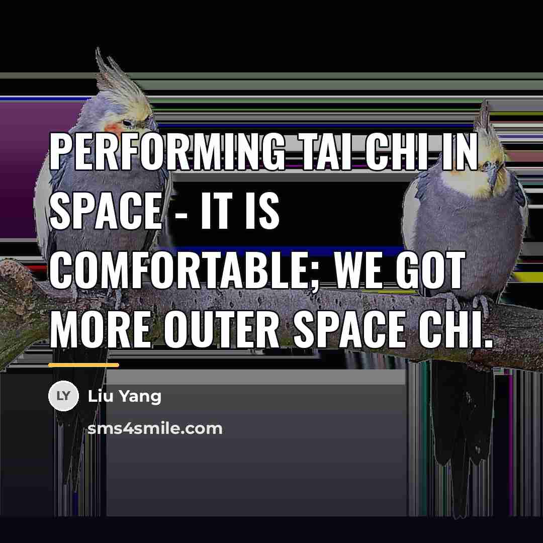 “Performing tai chi in space - it is comfortable; we…” quote by Liu Yang