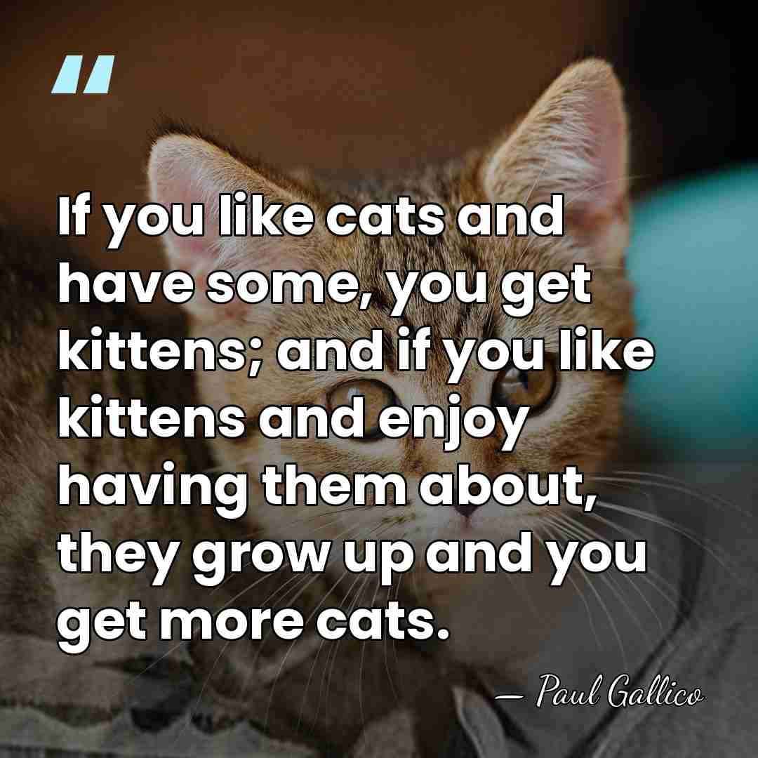 If you like cats and have some, you get kittens; and if&hellip; - Paul Gallico