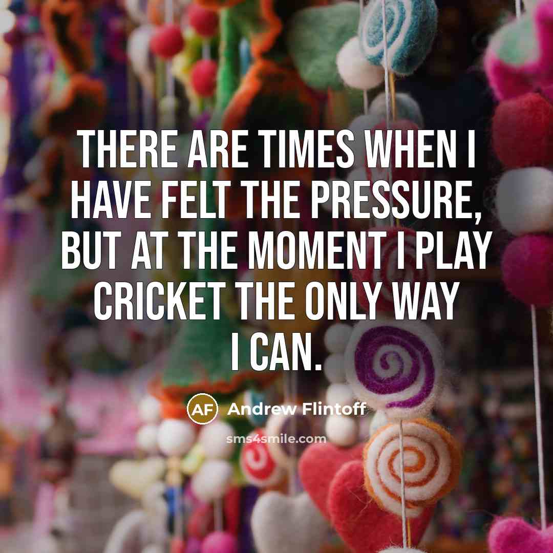 “There are times when I have felt the pressure, but…” quote by Andrew Flintoff