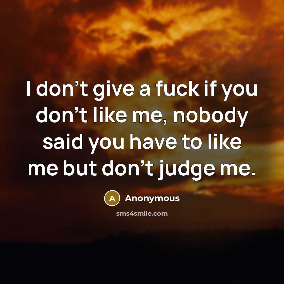 “I don't give a fuck if you don't like me,…” quote by Anonymous