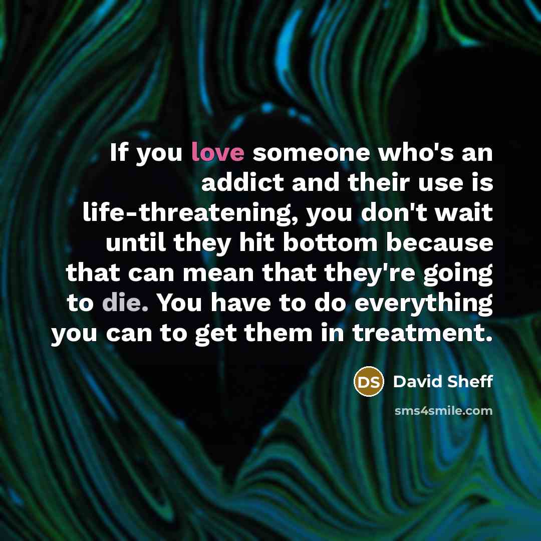 “If you love someone who's an addict and their use…” quote by David Sheff