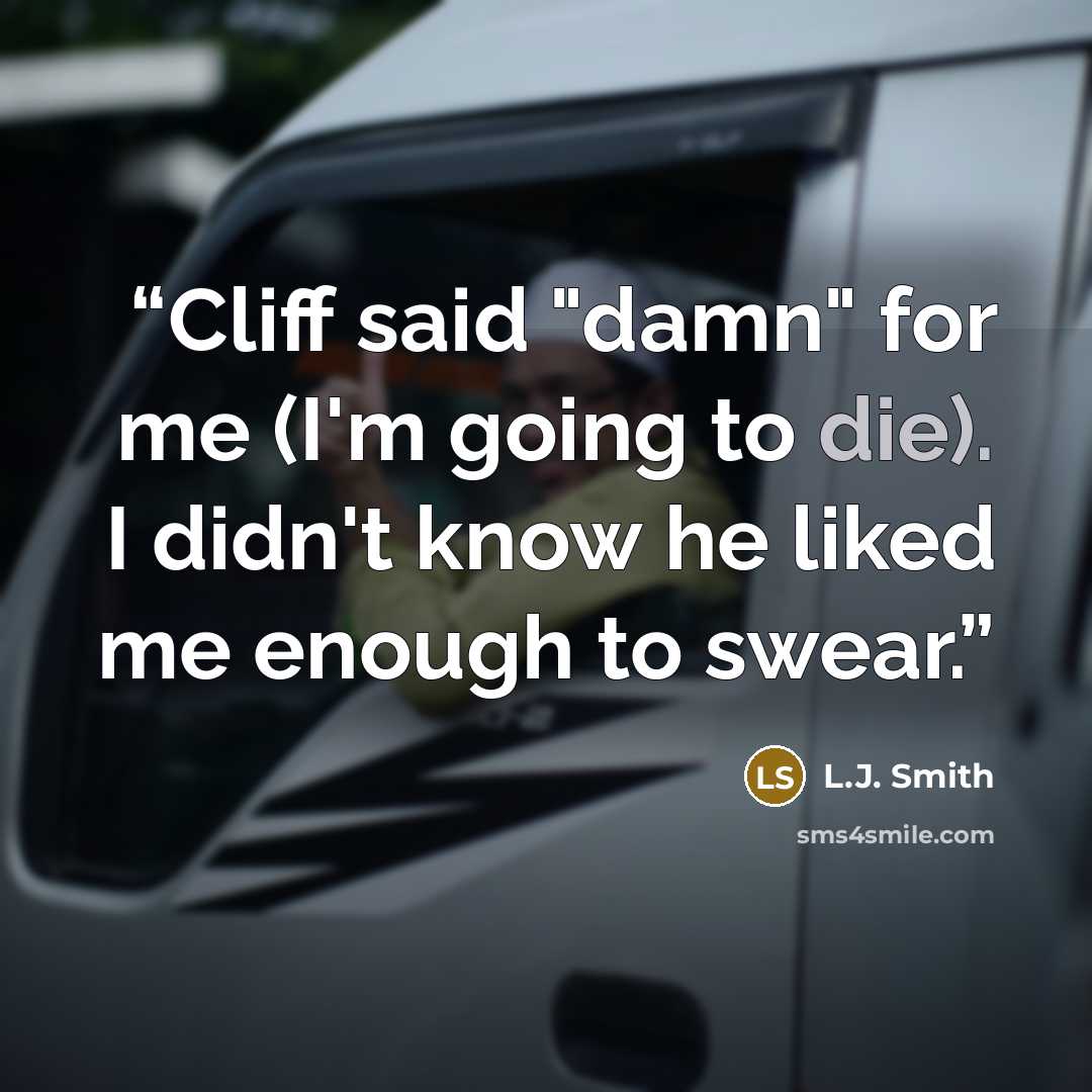 “Cliff said "damn" for me (I'm going to die). I didn't know he liked me enough to swear.” quote by L.J. Smith