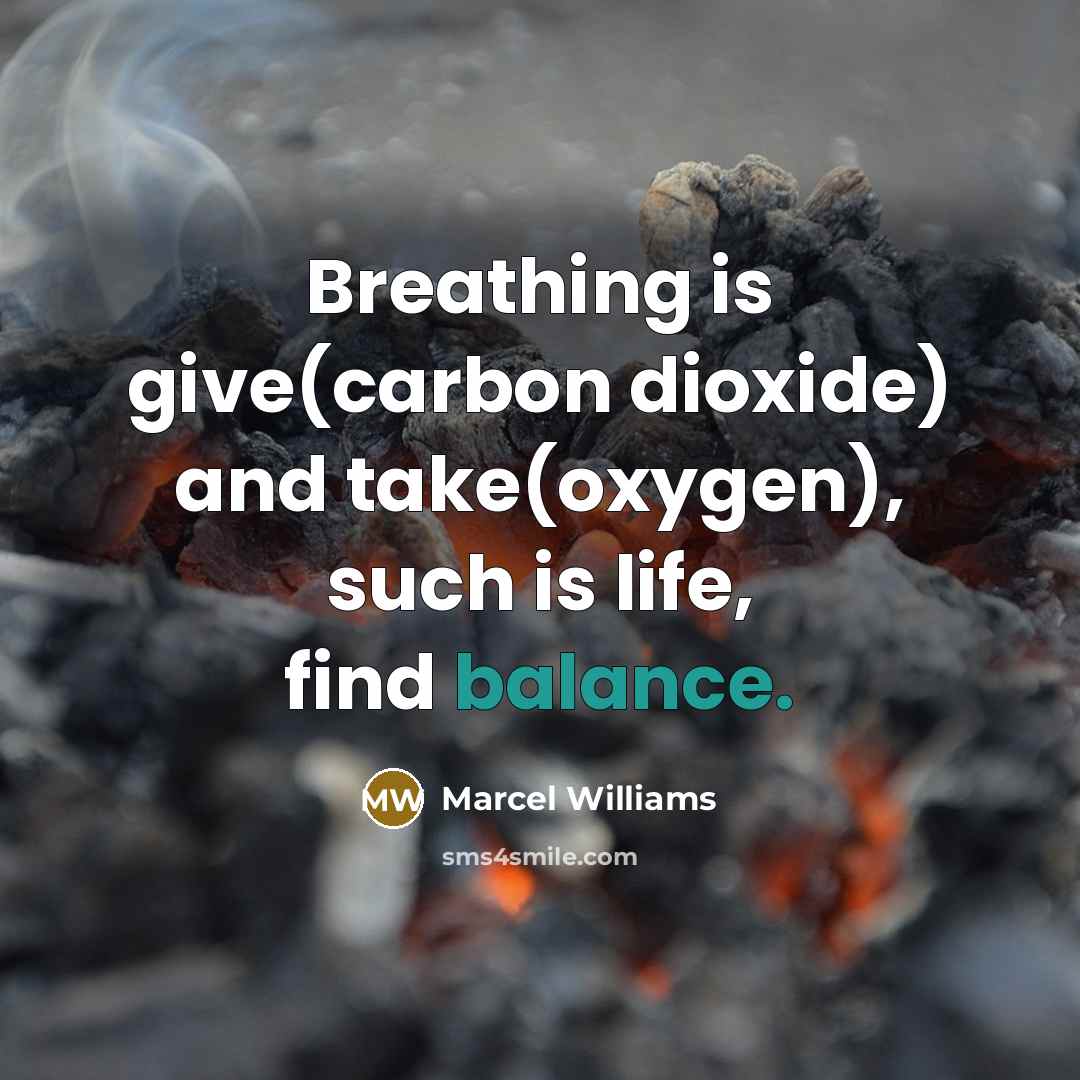 “Breathing is give(carbon dioxide) and take(oxygen), such is life, find balance.” quote by Marcel Williams