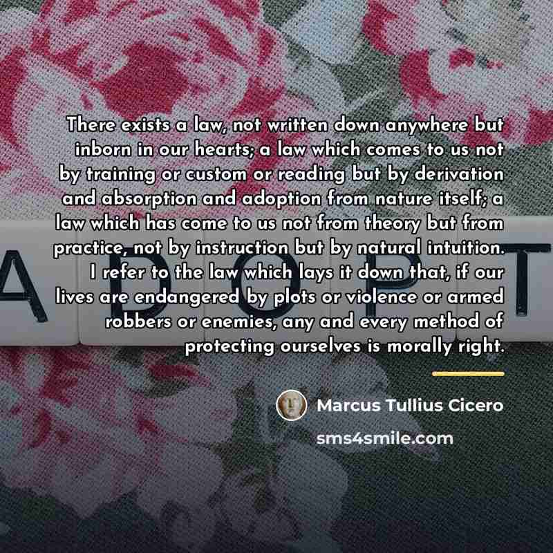 “There exists a law, not written down anywhere but inborn…” quote by Marcus Tullius Cicero