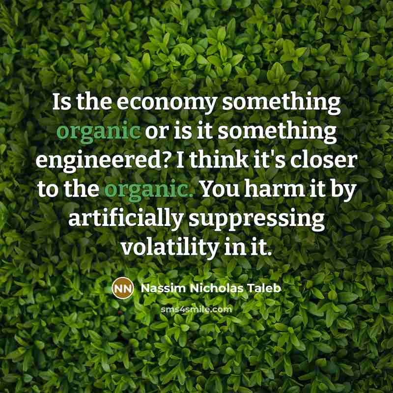 “Is the economy something organic or is it something engineered?…” quote by Nassim Nicholas Taleb